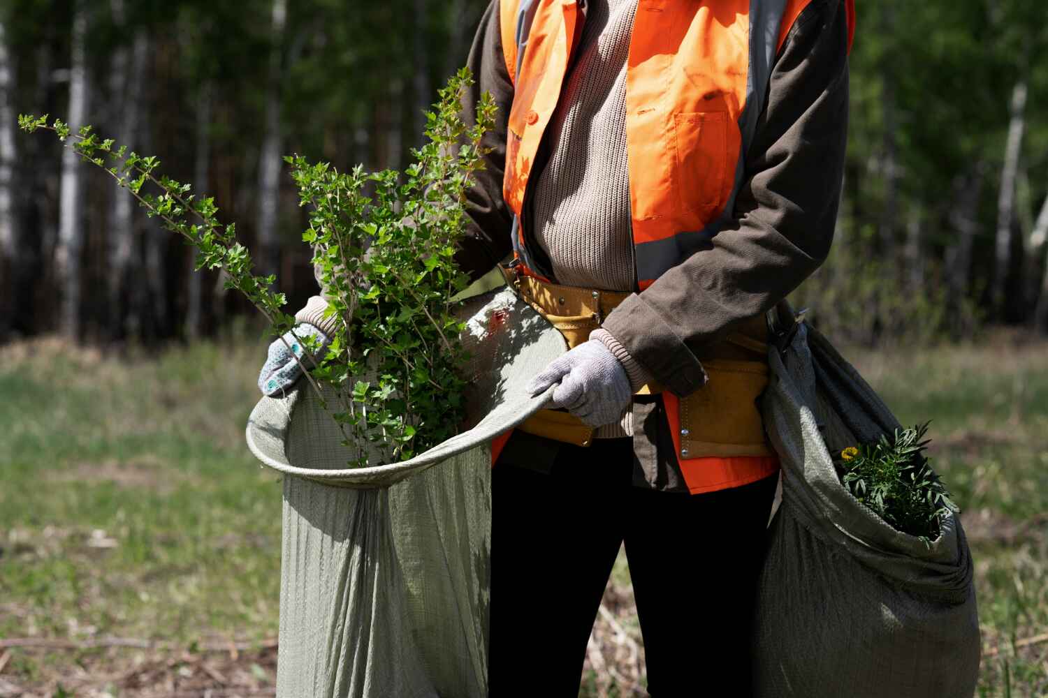 Reliable Richland, GA Tree Service Solutions